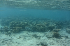 hurghada_2013_23_20140117_1698462841