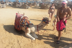 hurghada_2013_36_20140117_1120246850